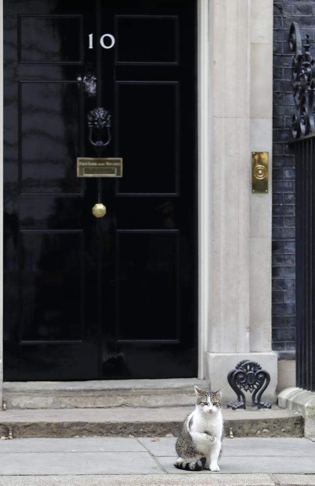 Thankfully, Theresa May’s front door at 10 Downing Street has a letterbox at an appropriate height. Also, that’s Larry the Downing Street cat. Picture: AP