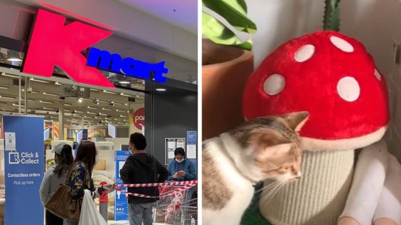 Kmart shop cat post