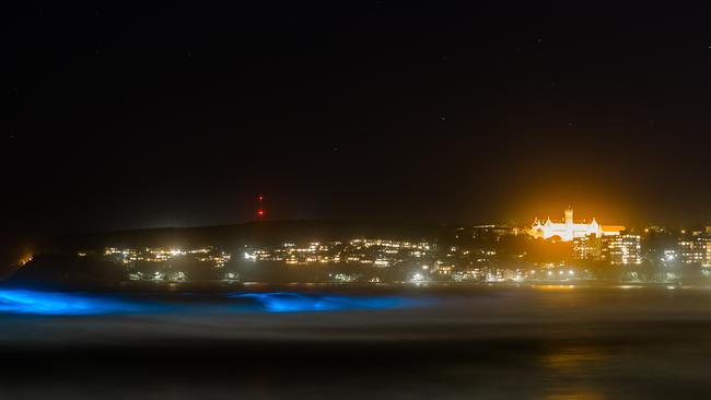 Photographer Joel Coleman captured bioluminescence in Manly on Sunday. Picture: Joel Coleman of Saltmotion Gallery