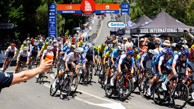 The Tour Down Under peloton in the Adelaide Hills during last year’s race. Picture: Morgan Sette