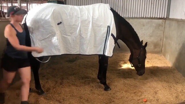 Winx to start from outside gate in QE
