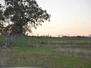 Kangaroos on the horizon. Picture: Gerard Walsh