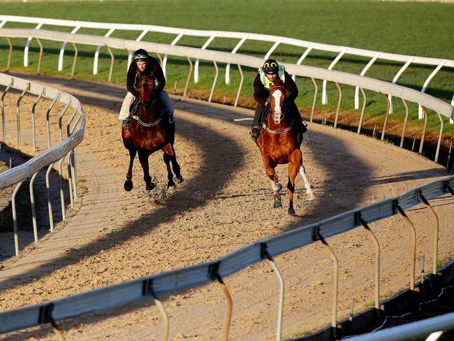 Generic image of Wyong Racecourse.