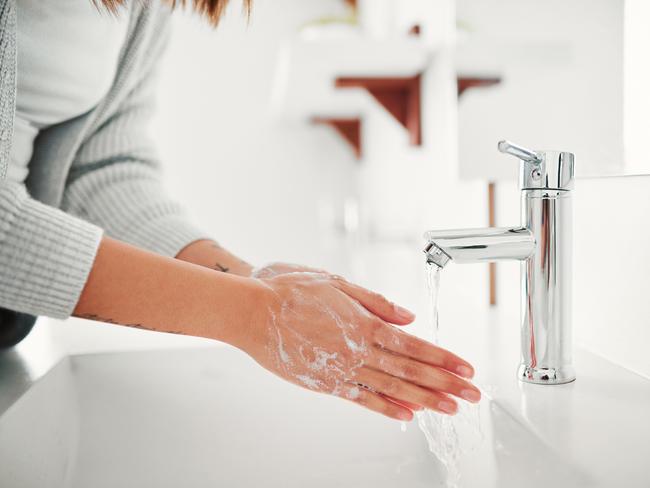 Wash your hands before and after touching animals.