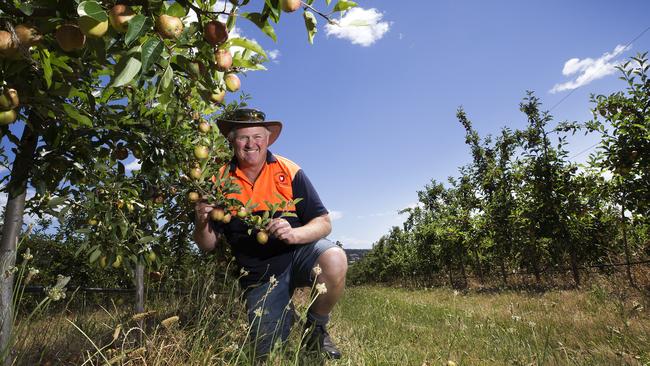 R.W. Squibb and Sons managing director Brett Squibb is looking forward to a return to normality. Picture: CHRIS KIDD