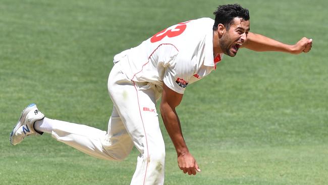 A lean Agar has been a consistent source of wickets for the Redbacks this season.