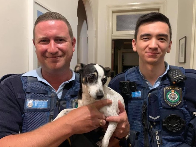 NSW Police tracked the missing dog to a home 5km away from where he disappeared. Picture: NSW Police