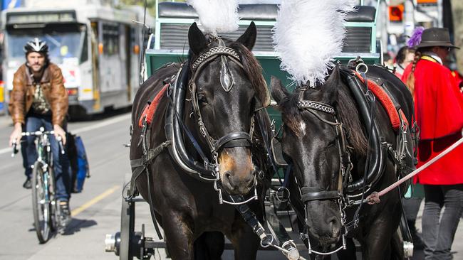 The horse-drawn carriages are a familiar sight on Swanston St. Picture: Eugene Hyland