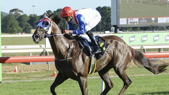 Camerlengo can start the day on a winning note. Picture: Bradley Photos