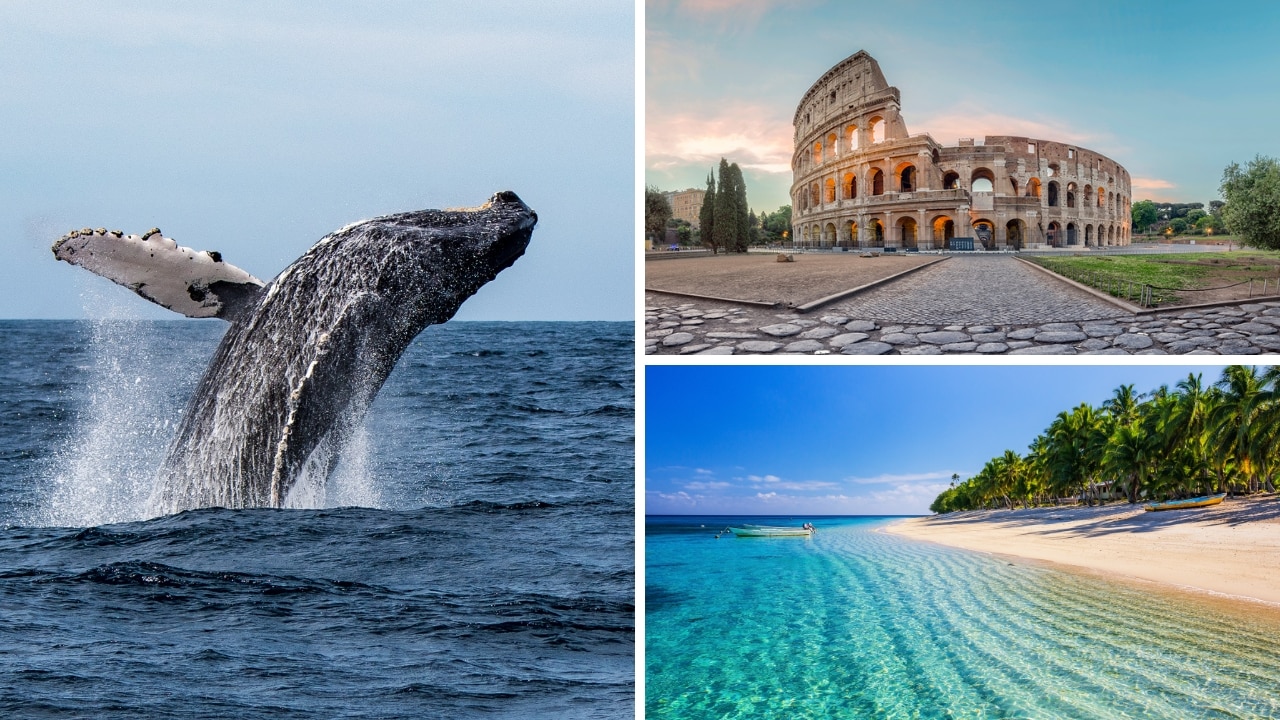 From whale watching to flights to Fiji, these are the best travel deals of the week. Picture: iStock