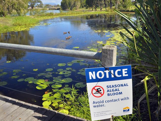 Residents have been advised to avoid direct contact with water in the Freshwater Lake, on Lakeshore Circuit, Idalia following detection of algal bloom in the system.