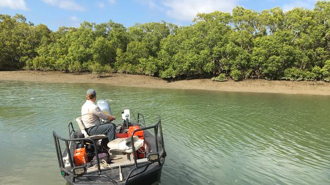 A DES officer patrols Eli Creek, Hervey Bay after a reported crocodile sighting in 2020.