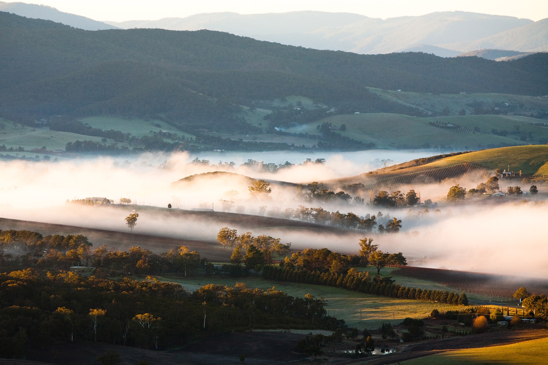 11 best Yarra Valley wineries to visit in 2022 GQ