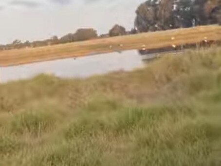 The road where the groceries were dumped wasn't far from the family's house.