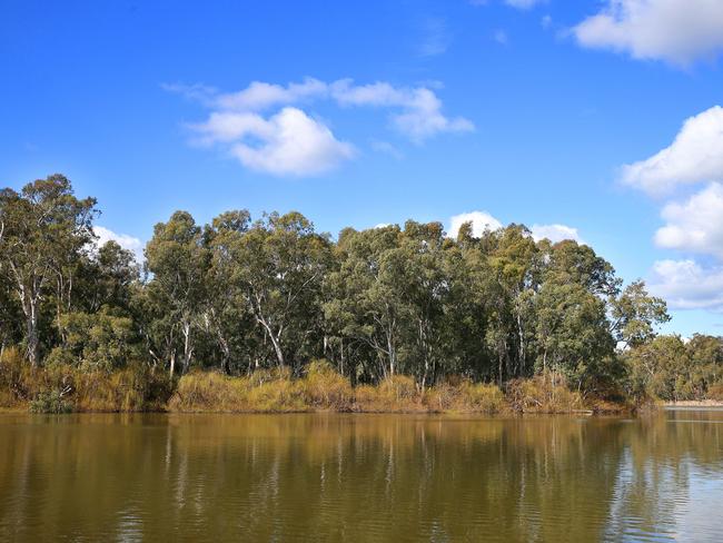 The Murray River at Torrumbarry in August this year. Picture: Andy Rogers