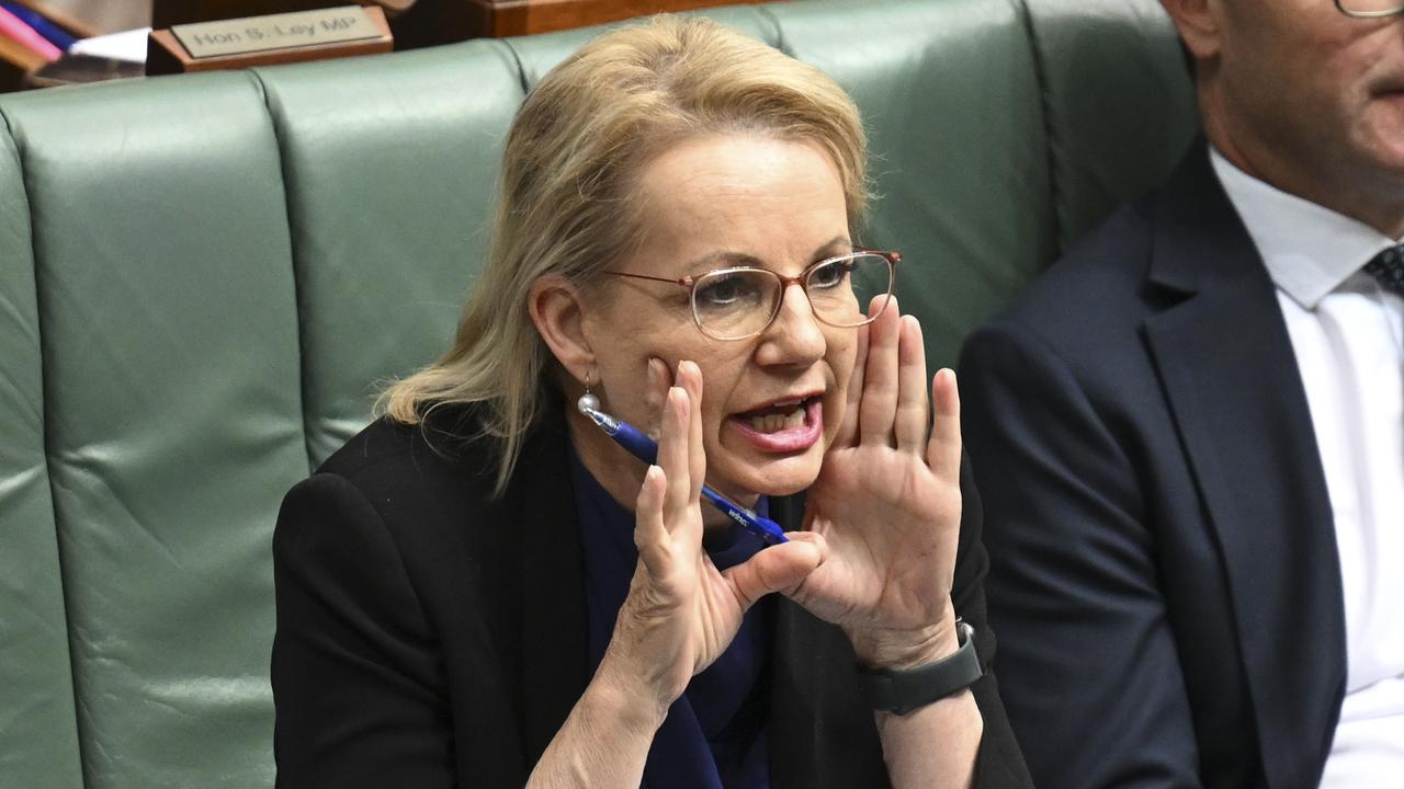 Deputy Opposition Leader Sussan Ley says British settlers ‘did not come to destroy or to pillage’ in Australia. Picture: NewsWire / Martin Ollman