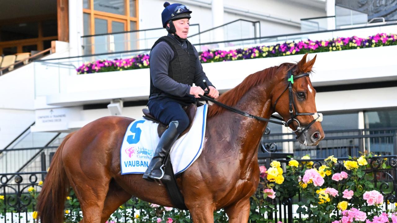 Melbourne Cup 2023 sweep generator Printable download with every horse assigned The Advertiser