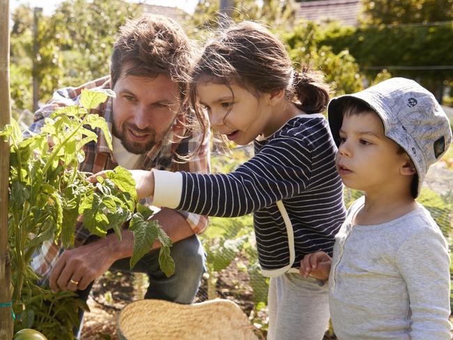 Parents role model good body image by being active and encouraging a healthy lifestyle. For Kids News and Hibernation. iStock image