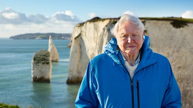 Sir David Attenborough’s new documentary Ocean highlights the vital, achievable actions the world can take to restore the ocean and stabilise the climate. Picture: Conor McDonnell