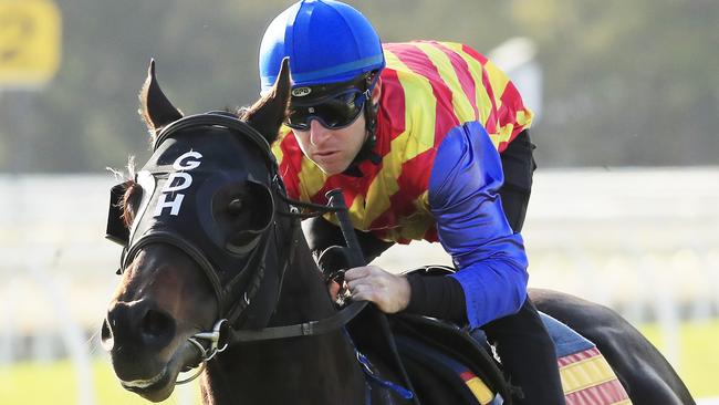 Tommy Berry is happy with the progress of co-Everest favourite Pierata. Picture: Getty Images