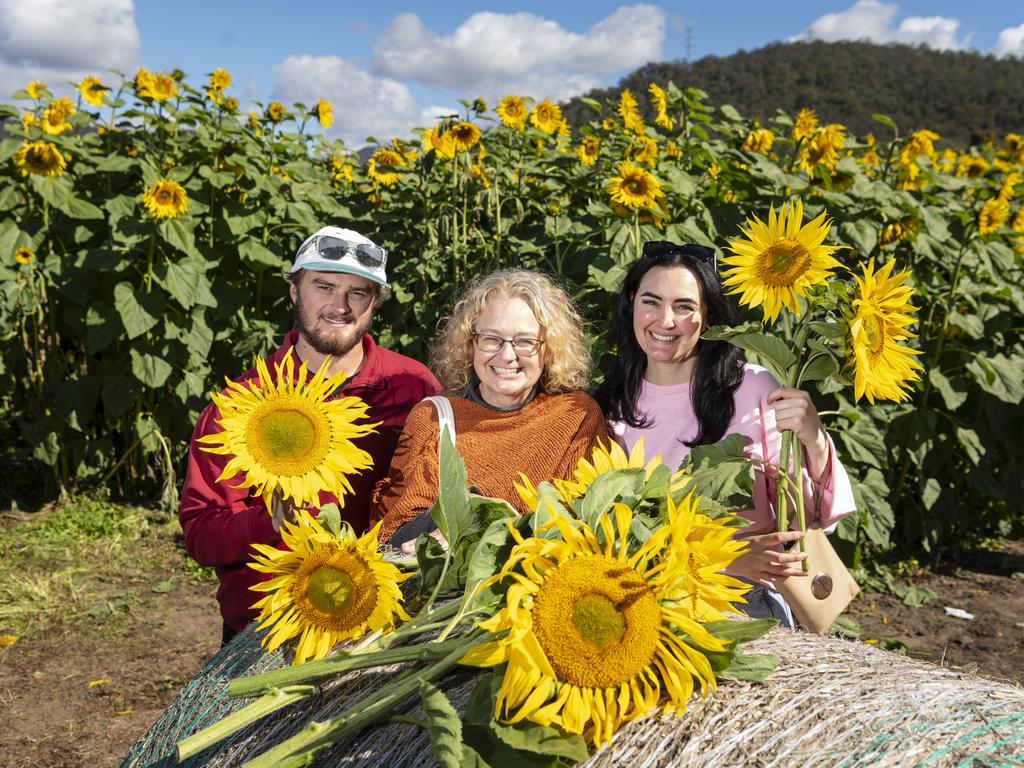 Enjoying the day are (from left) Anthony Passante, Chris Passante and Hayley Zeller at the picnic with the sunflowers event hosted by Ten Chain Farm, Saturday, June 8, 2024. Picture: Kevin Farmer