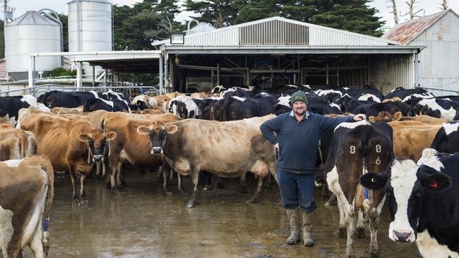 Job opportunities in dairy are not keeping up with other sectors. Picture: Zoe Phillips