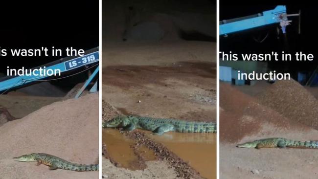 A large crocodile has been filmed perusing a Northern Territory mine site, south of Darwin. Source: @koehn.13 on TikTok