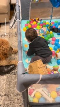 This Aussie baby has the most infectious laugh