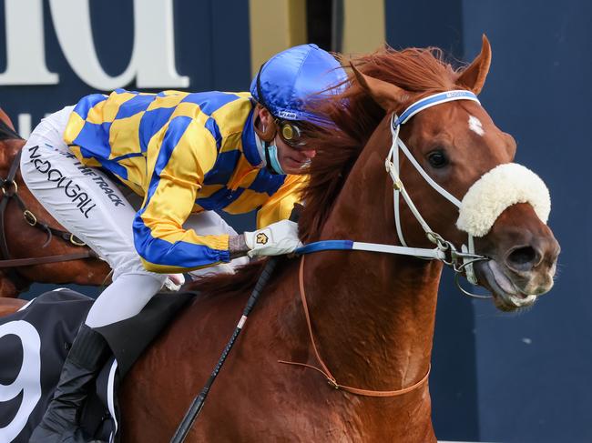 Oxley Road ridden by Blaike McDougall wins the McCafe Caulfield Sprint at Caulfield Racecourse on October 16, 2021 in Caulfield, Australia. (George Sal/Racing Photos)