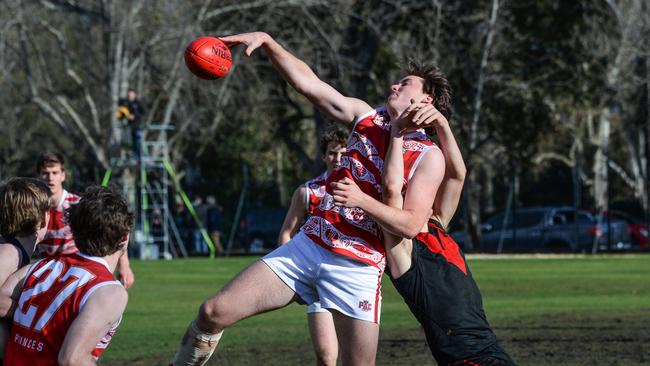 Declan Hortle in the ruck against Rostrevor in round 10. His dominant round 11 performance over the weekend was key to his side’s big win over Trinity. Picture: Brenton Edwards