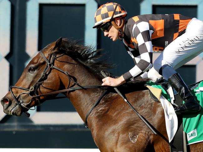 SYDNEY, AUSTRALIA - JUNE 17: Chad Schofield riding Fawkner Park wins Race 5 TAB during "W.J McKell Cup Day" - Sydney Racing at Rosehill Gardens on June 17, 2023 in Sydney, Australia. (Photo by Jeremy Ng/Getty Images)