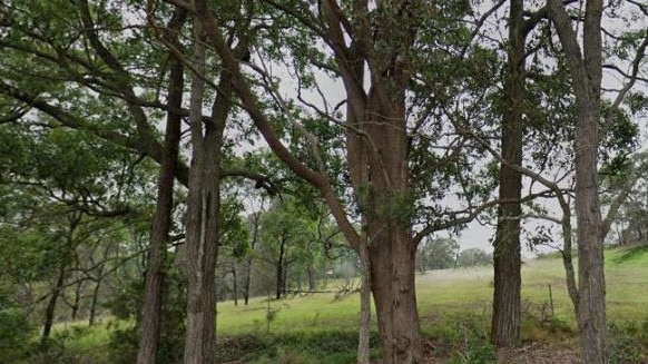 The proposed bushland site for the temporary refuge accommodation. Picture: Hornsby Council