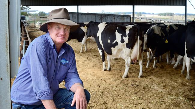 Colin McKenna on his dairy farm. Picture: Zoe Phillips