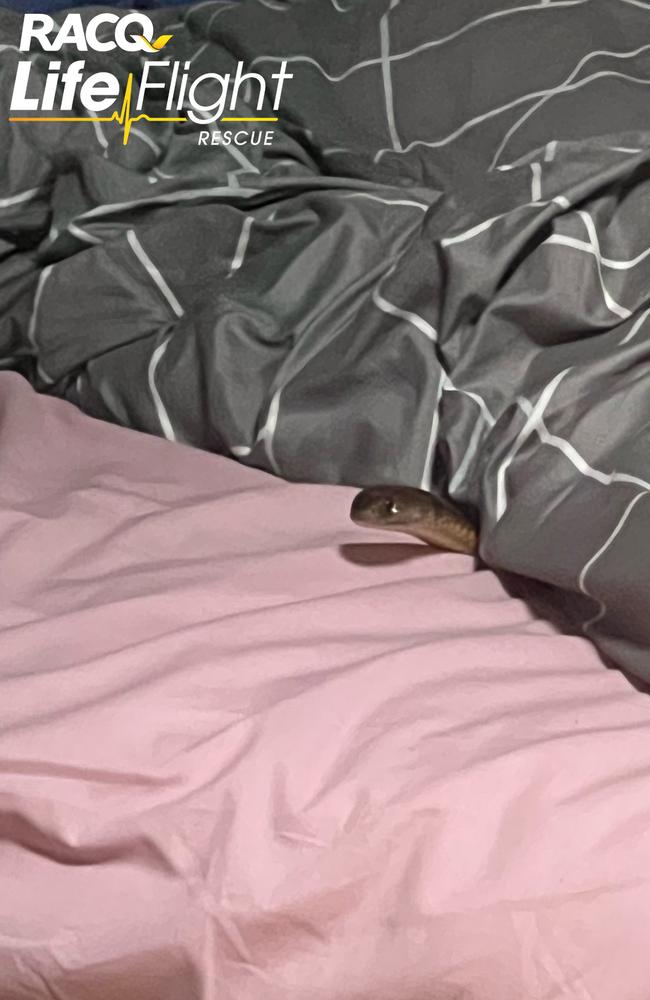 The woman was bitten by the suspected eastern brown snake while sleeping in bed. Picture: LifeFlight