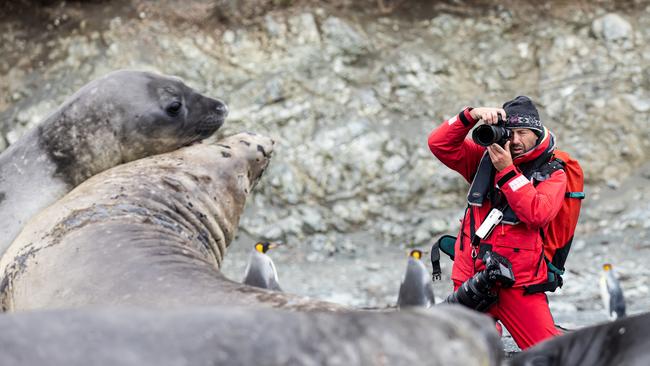 Photographing elephant seals on Macquarie Island, one of the Subantarctic islands.