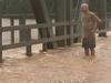 ‘Images of survival’: Victims tell of terrifying rescues