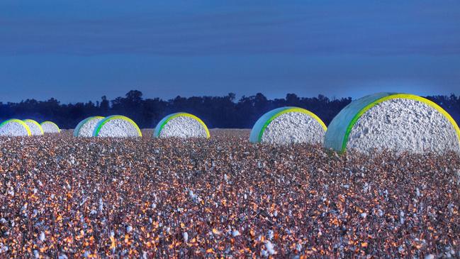 Findley Farms primarily produce cotton, wheat, corn and barley.