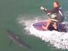 Paddleboarder glides over shark