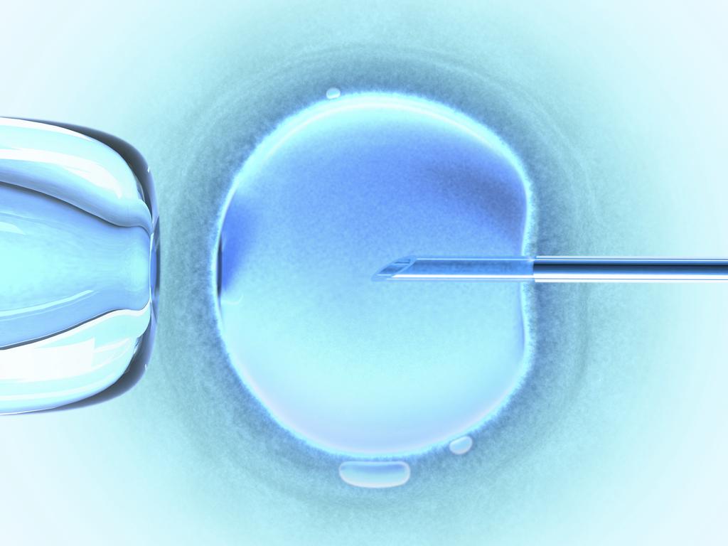 Generic image of an IVF needle in female egg.