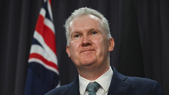 Immigration Minister Tony Burke. Picture: NewsWire / Martin Ollman