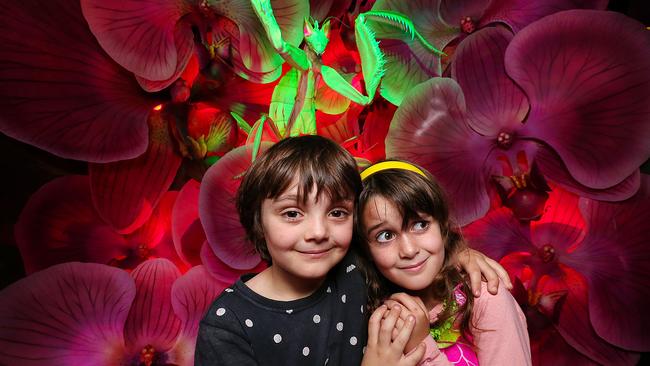 Best friends Sonny, 7, and Matilda, 6, check out the new Bug Lab exhibition at Melbourne Museum. Picture: Ian Currie