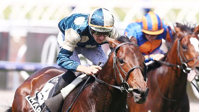 Hugh Bowman, who will again ride Marmelo, says the Melbourne Cup is the mercy of the internationals. Picture: Getty Images