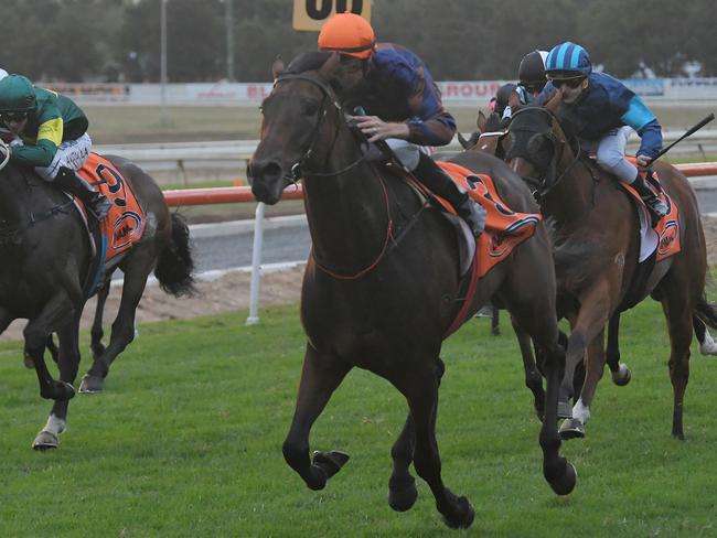 Roman Son has been in great form this campaign and only needs to reproduce that to salute at Rosehill. Picture: AAP