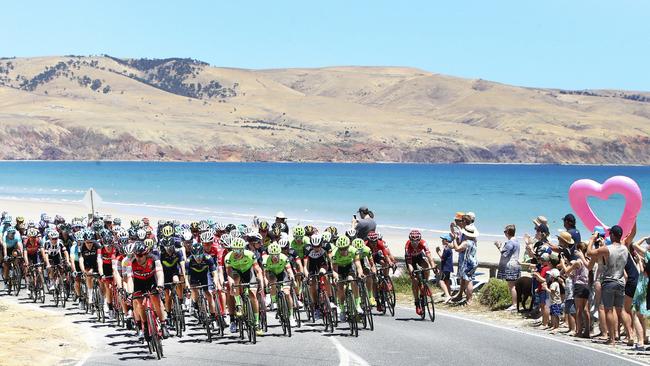 The peloton makes its way around picturesque Snapper Point during stage 5 last year. Picture: Sarah Reed