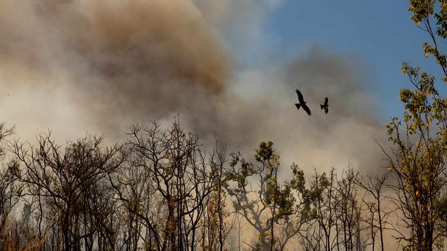 A bushfire threatens properties in the Lake Bennett region. Picture: Che Chorley