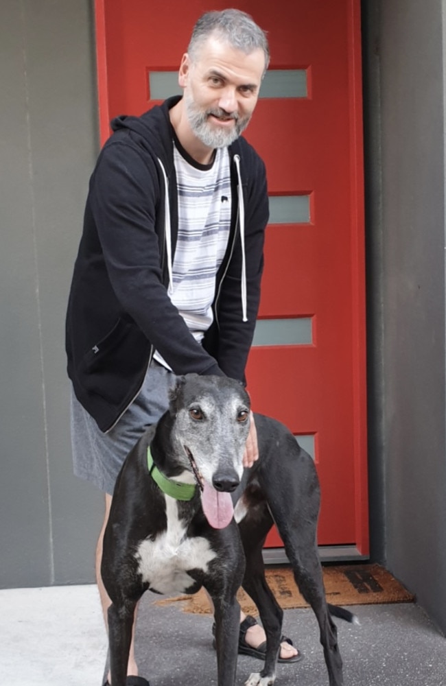 Strata title expert Chris Irons with his 38kg greyhound Ernest, a rescue dog from Rockhampton that ran under the name That’s Super