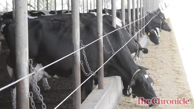 Dairy farmer happy with Woolworths stance