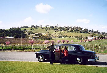 Local icon ... from rust bucket to regal ride, John Baldwin's beloved Daimler was a wreck rescued from a farm. The car is now carriage for John's exclusive tours of Barossa's small wineries