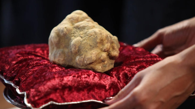 US$330,000 white truffle.