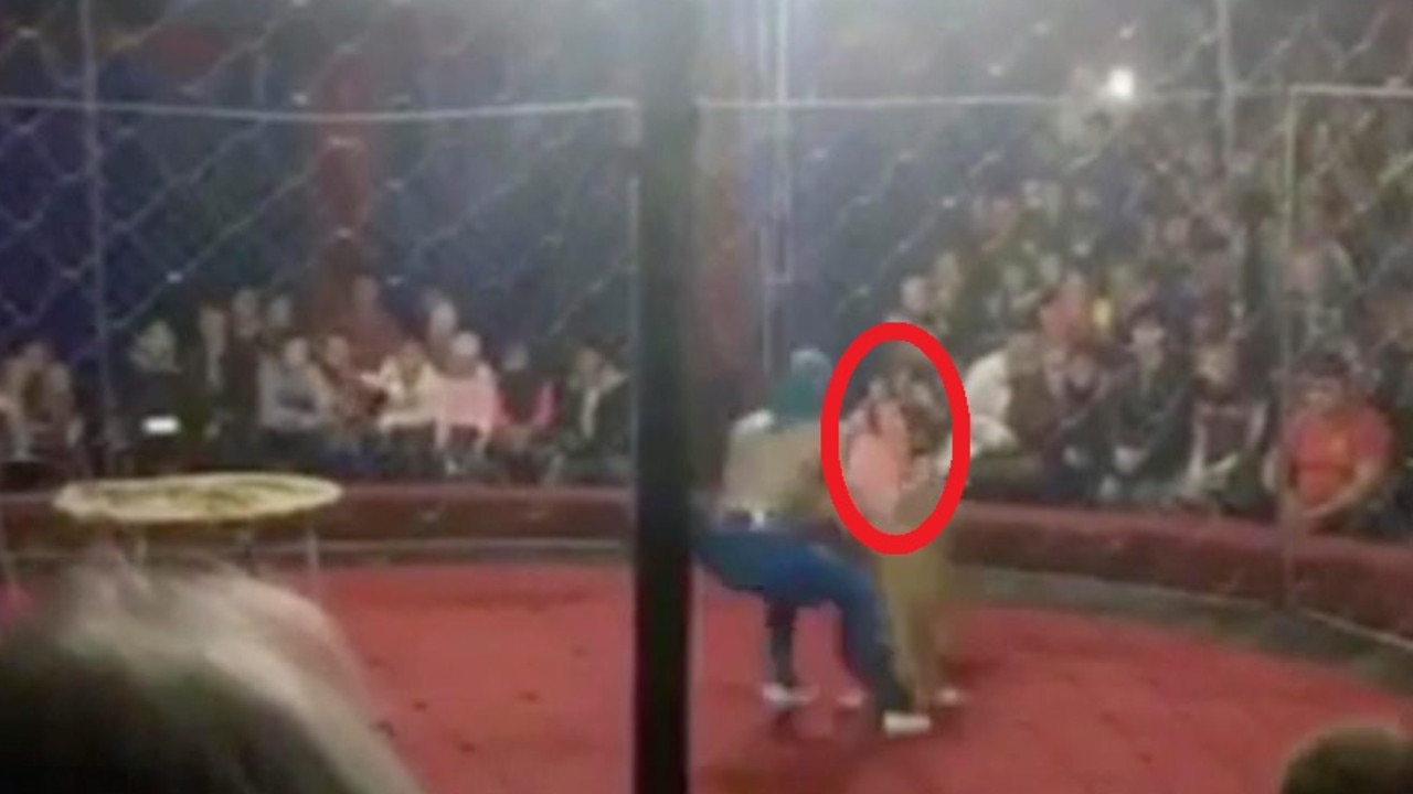 The terrifying moment a lion attacks a girl. Source: East2West News